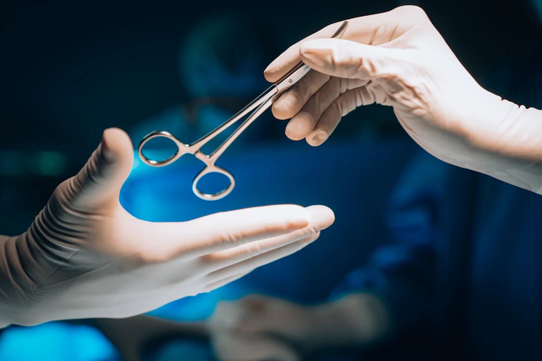 Innovative Insights: Biodegradable Sutures in Dentistry - Dental Sutures