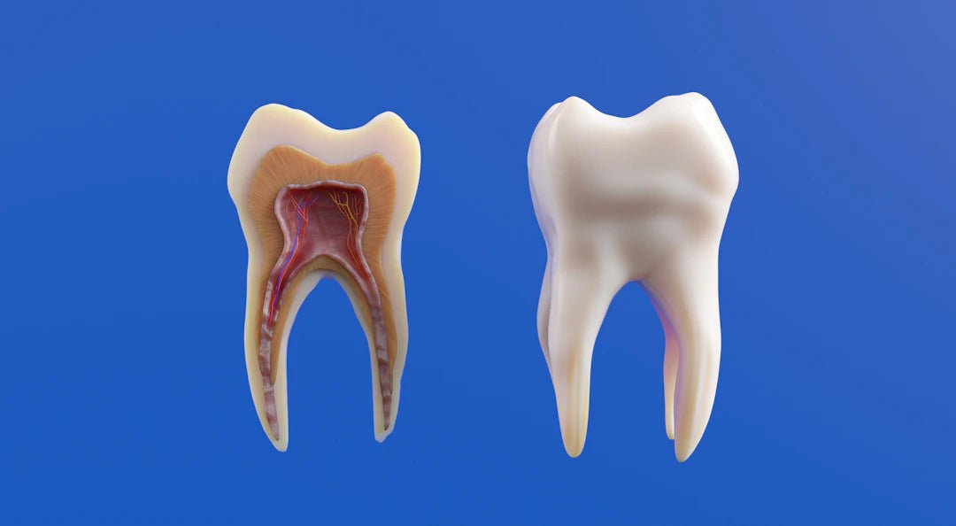 Mastering Dental Sutures: Techniques You Need to Know - Dental Sutures