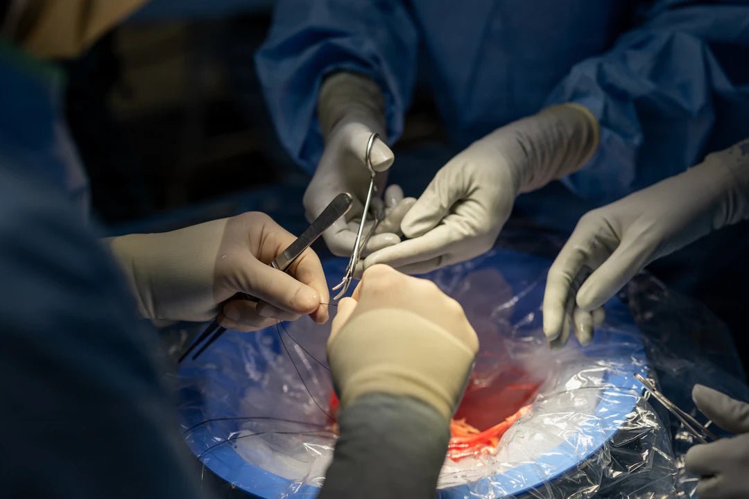 The Evolution of Surgical Sutures in Dentistry - Dental Sutures