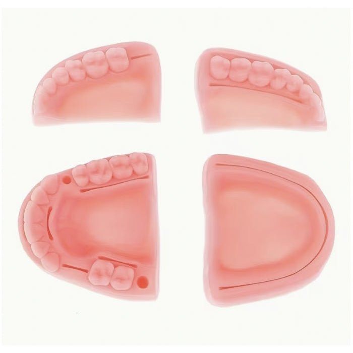 Precision Dermal Dental Suturing Practice Model Silicone Oral Surgery Training Pad UK AP-DSM