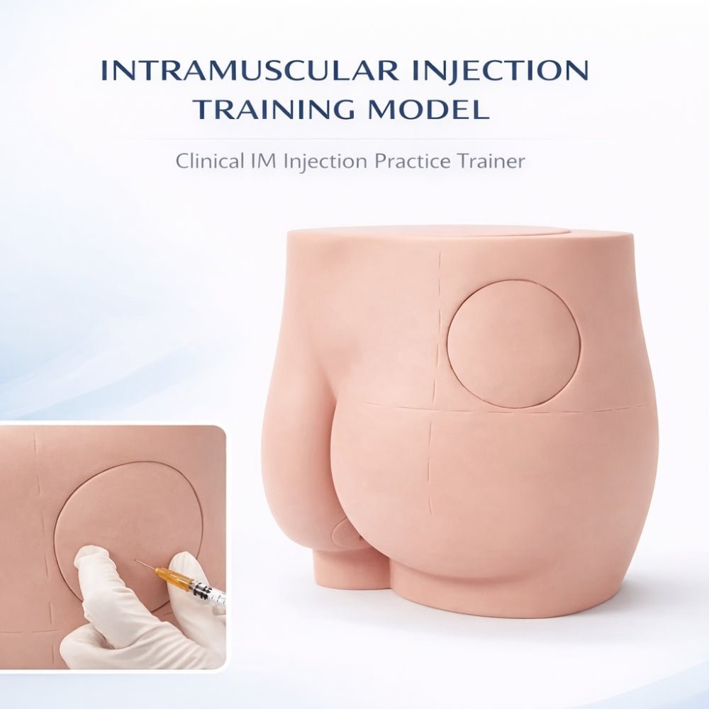 Precision Dermal Buttock Intramuscular Injection Training Model Gluteal IM Injection Practice Simulator UK IMB-0011
