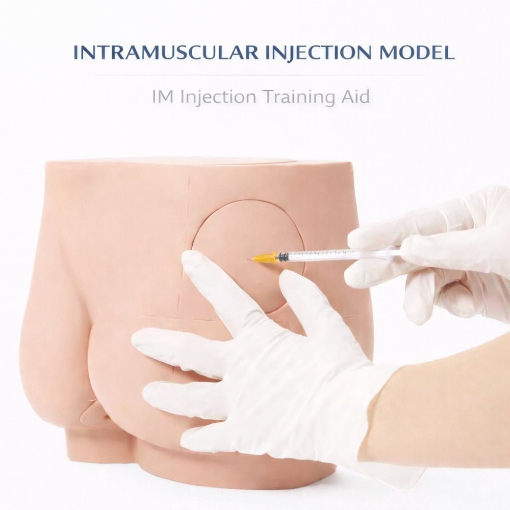 Precision Dermal Buttock Intramuscular Injection Training Model Gluteal IM Injection Practice Simulator UK IMB-0011