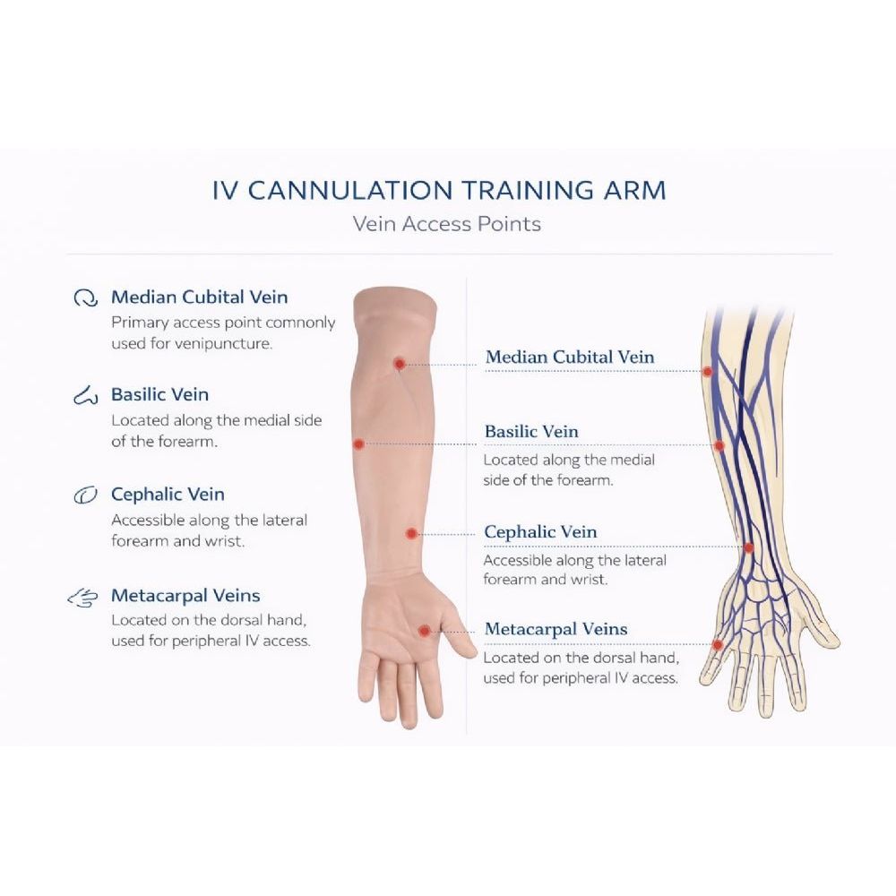 Precision Dermal Medical Injection Training Arm Venipuncture & IV Injection Practice Simulator UK IVT-001
