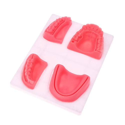 Precision Dermal Dental Oral Gum Silicone Periodontitis Suture Model – Realistic Gum Suturing Training Pad for Dental Students, Oral Surgery Practice & Clinical Skills Education UK SC -1006