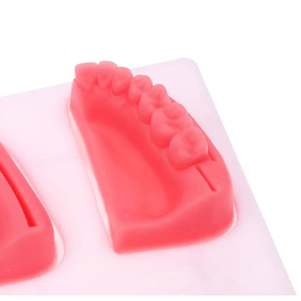 Precision Dermal Dental Oral Gum Silicone Periodontitis Suture Model – Realistic Gum Suturing Training Pad for Dental Students, Oral Surgery Practice & Clinical Skills Education UK SC -1006
