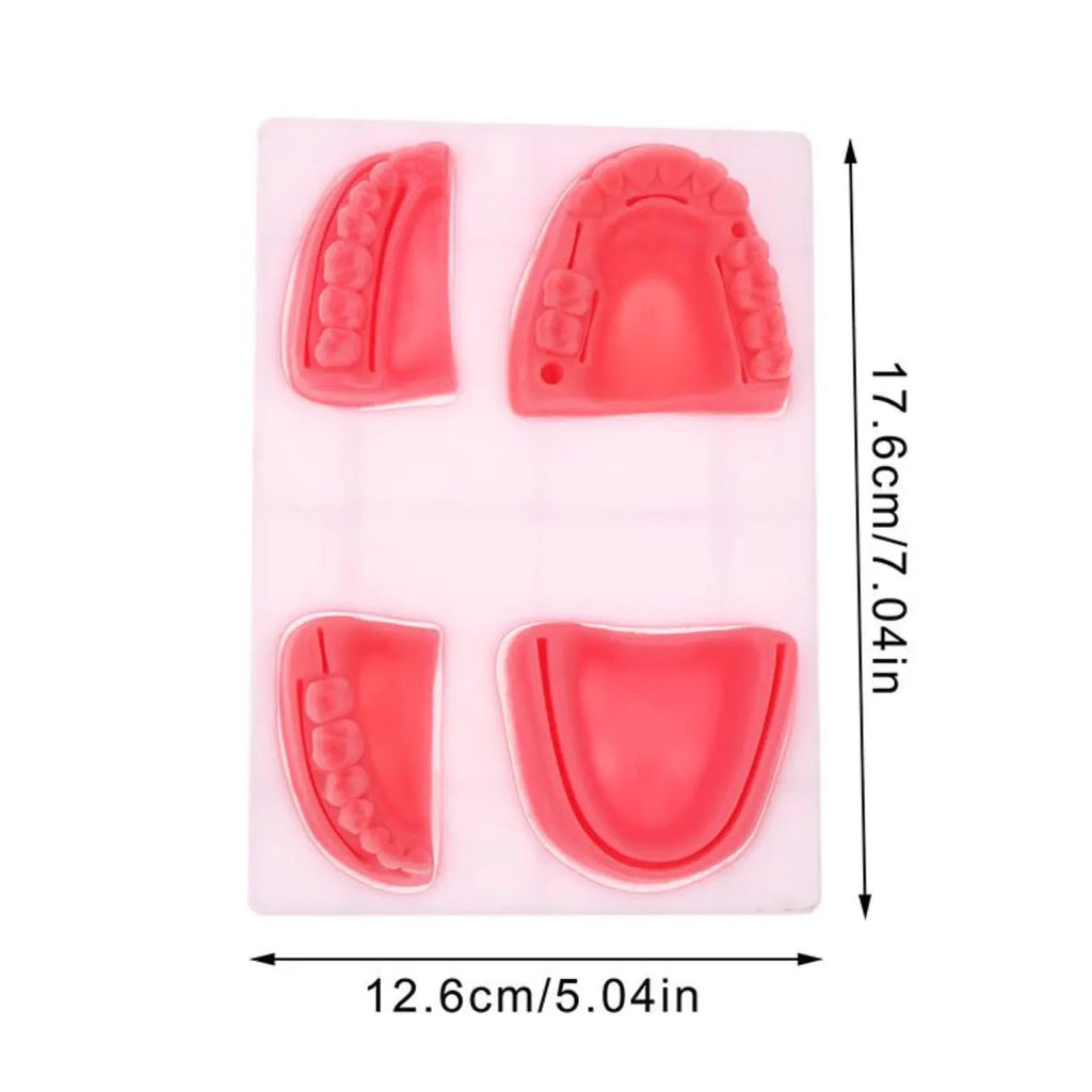 Precision Dermal Dental Oral Gum Silicone Periodontitis Suture Model – Realistic Gum Suturing Training Pad for Dental Students, Oral Surgery Practice & Clinical Skills Education UK SC -1006