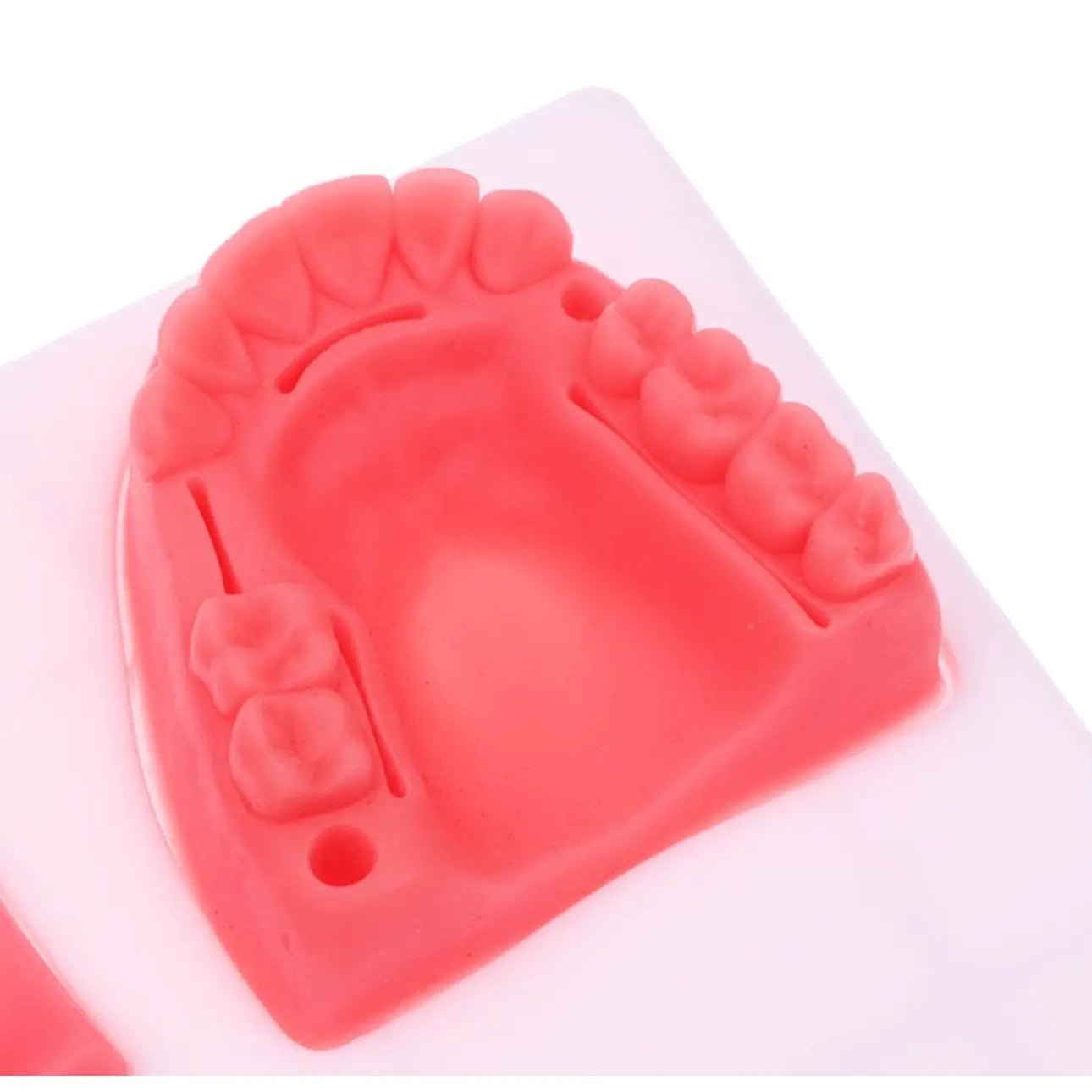 Precision Dermal Dental Oral Gum Silicone Periodontitis Suture Model – Realistic Gum Suturing Training Pad for Dental Students, Oral Surgery Practice & Clinical Skills Education UK SC -1006