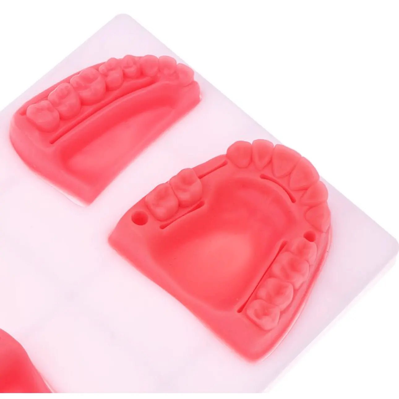 Precision Dermal Dental Oral Gum Silicone Periodontitis Suture Model – Realistic Gum Suturing Training Pad for Dental Students, Oral Surgery Practice & Clinical Skills Education UK SC -1006