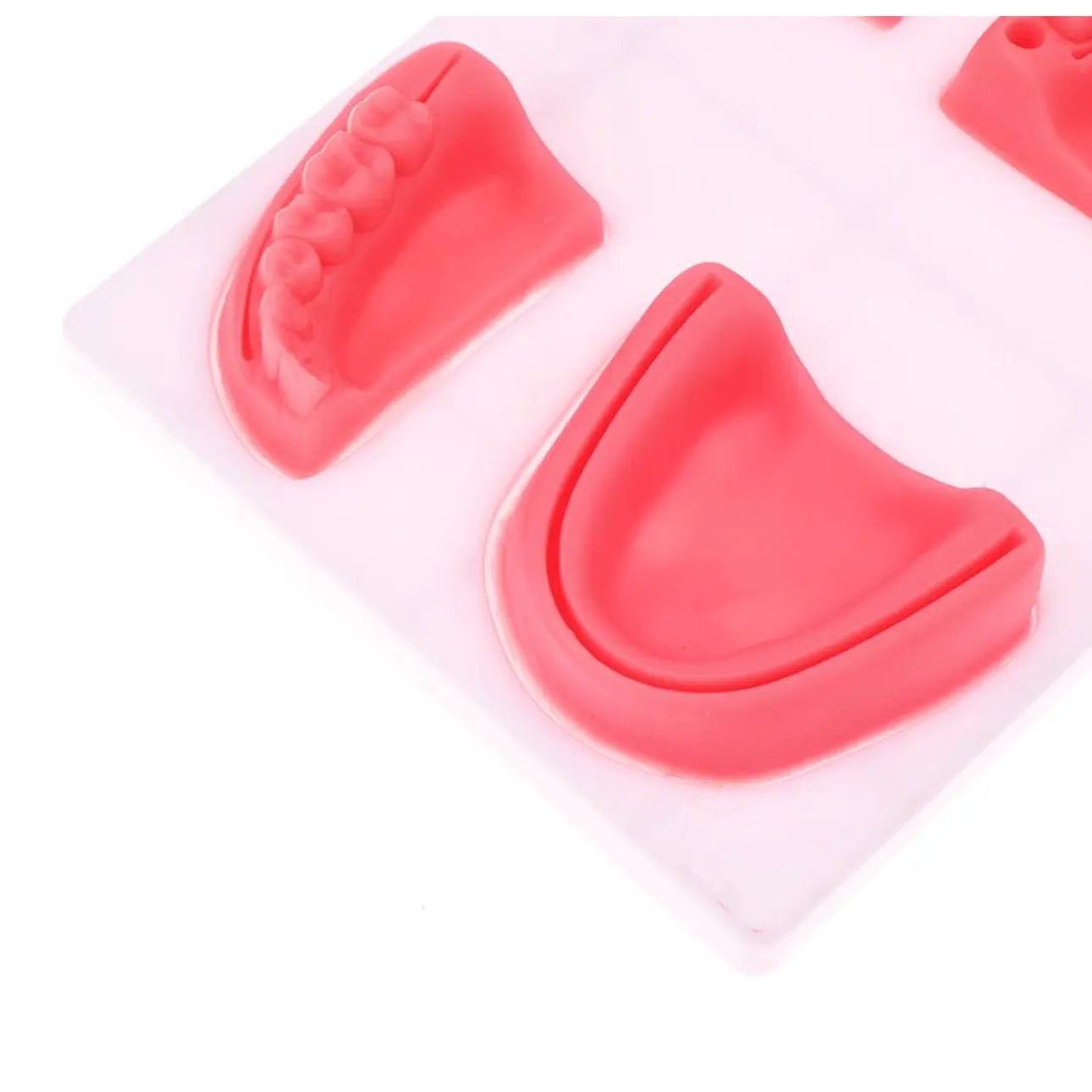 Precision Dermal Dental Oral Gum Silicone Periodontitis Suture Model – Realistic Gum Suturing Training Pad for Dental Students, Oral Surgery Practice & Clinical Skills Education UK SC -1006