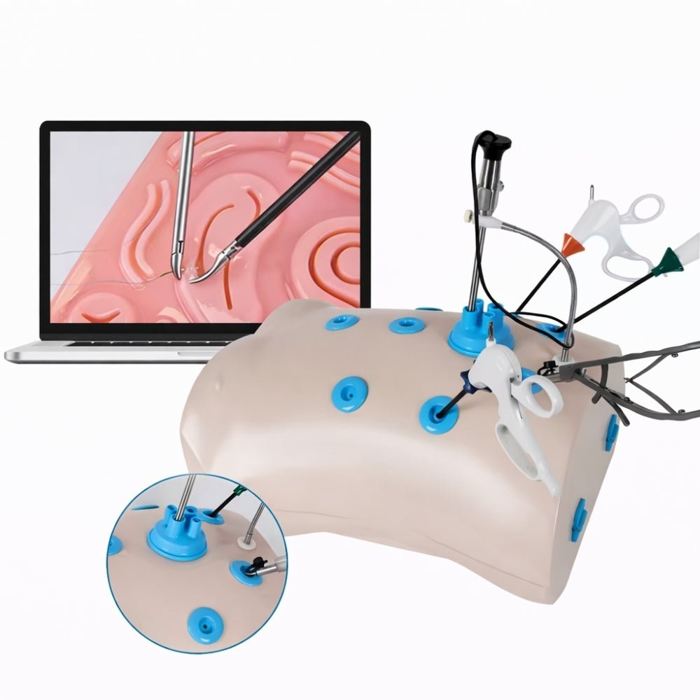 Precision Dermal Laparoscopic Trainer Box Set with Instruments Laparoscopy Surgical Skills Training Simulator UK LBT-002