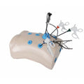 Precision Dermal Laparoscopic Trainer Box Set with Instruments Laparoscopy Surgical Skills Training Simulator UK LBT-002