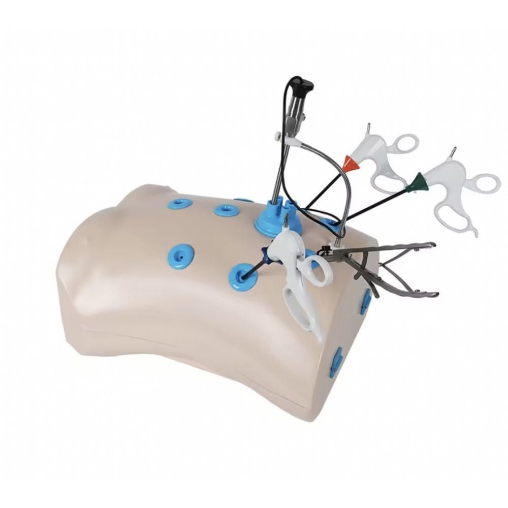 Precision Dermal Laparoscopic Trainer Box Set with Instruments Laparoscopy Surgical Skills Training Simulator UK LBT-002