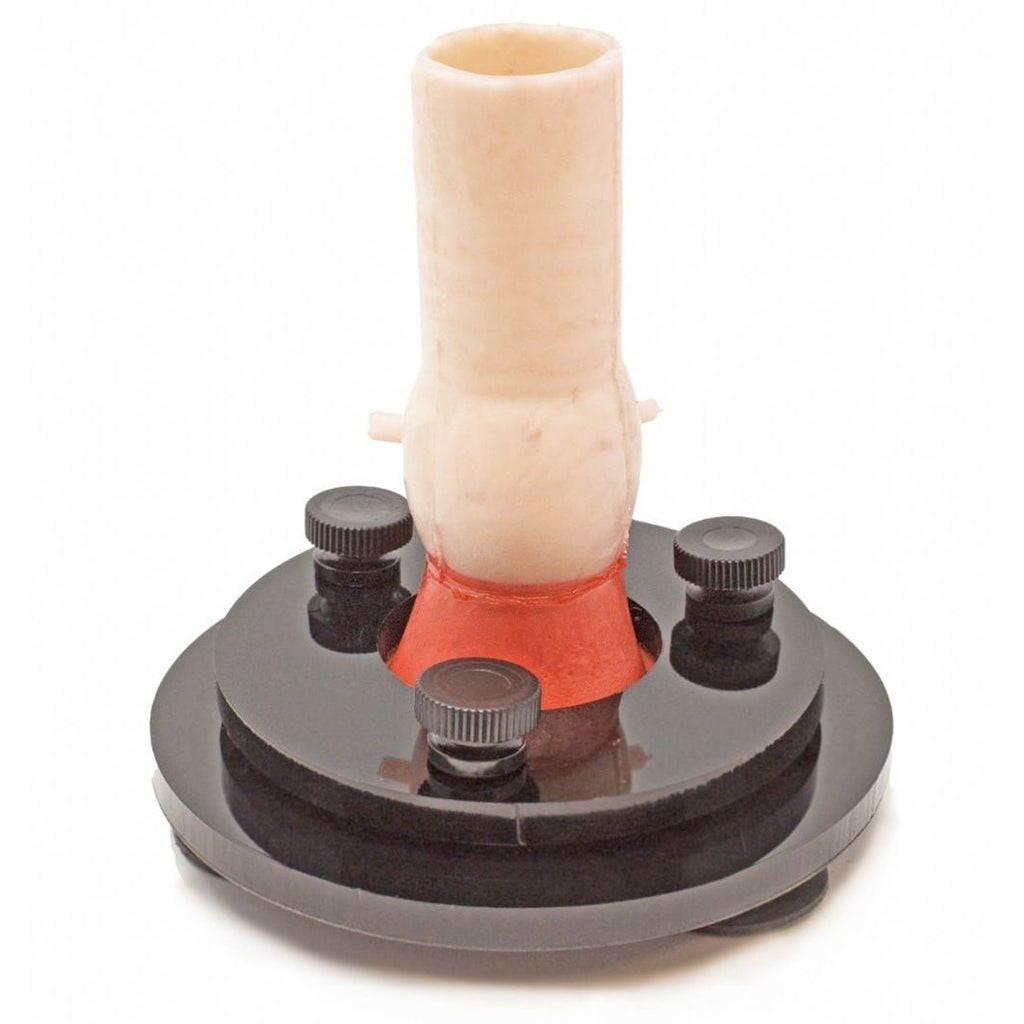 Precision Dermal Bicuspid Aortic Valve Model | Cardiac Surgery Training Simulator UK LL-TRN-0185