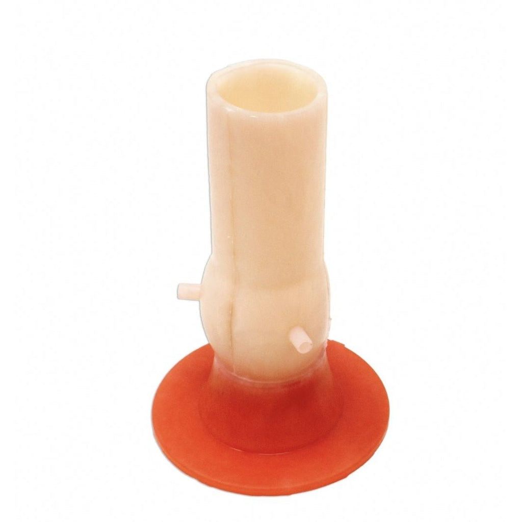 Precision Dermal Bicuspid Aortic Valve Model | Cardiac Surgery Training Simulator UK LL-TRN-0185