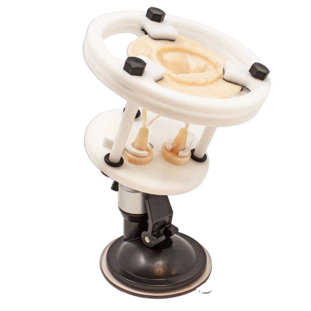 Precision Dermal Mitral Valve Model | Cardiac Valve Repair Surgical Training Simulator UK LL-TRN-0124