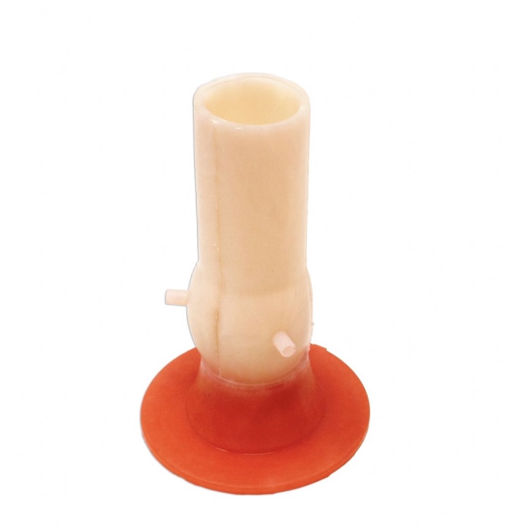 Precision Dermal Bicuspid Aortic Valve Model | Cardiac Surgery Training Simulator UK TRN0185