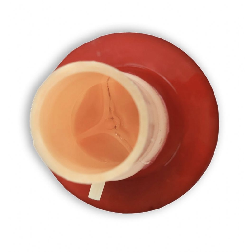 Precision Dermal Bicuspid Aortic Valve Model | Cardiac Surgery Training Simulator UK TRN0185