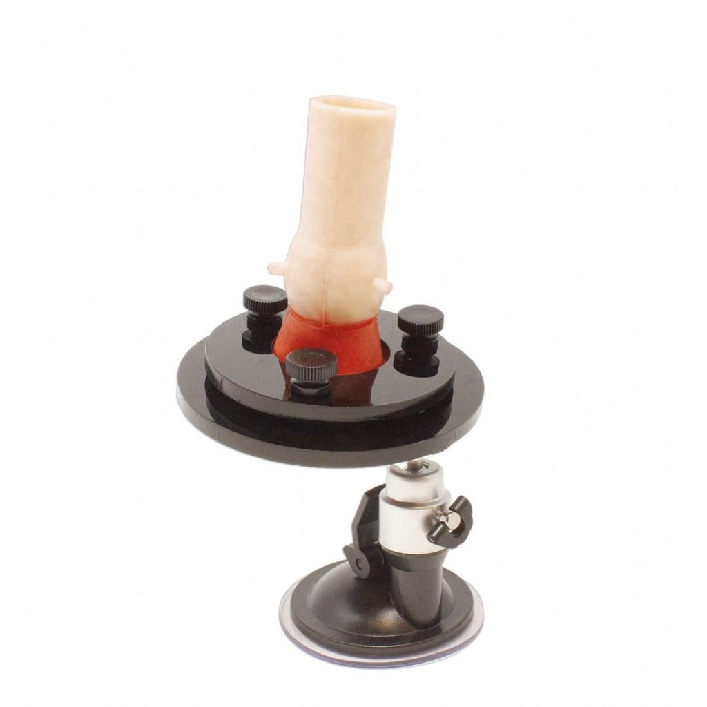 Precision Dermal Bicuspid Aortic Valve Model | Cardiac Surgery Training Simulator UK TRN0185