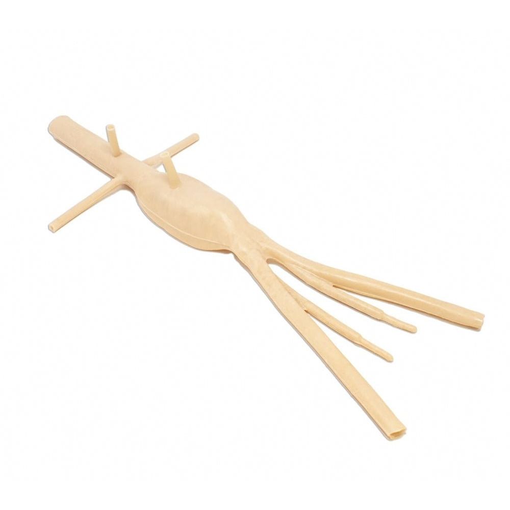 Precision Dermal Abdominal Aortic Aneurysm Model | AAA Surgical Training Simulator UK LL-TRN-0217