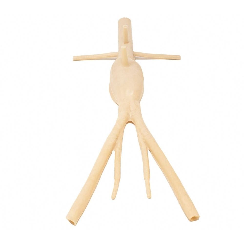 Precision Dermal Abdominal Aortic Aneurysm Model | AAA Surgical Training Simulator UK LL-TRN-0217