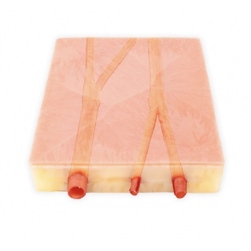 Precision Dermal Embedded Carotid Arteries with Plaque and Dermis Model | Carotid Endarterectomy Training Simulator UK LL-TRN-0244