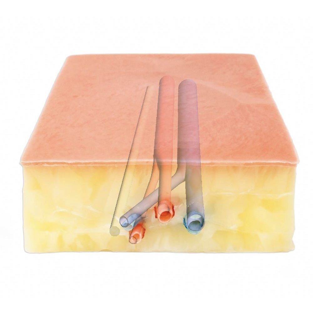 Precision Dermal Embedded Femoral Groin Model | Femoral Endarterectomy Training Simulator UK LL-TRN-0250