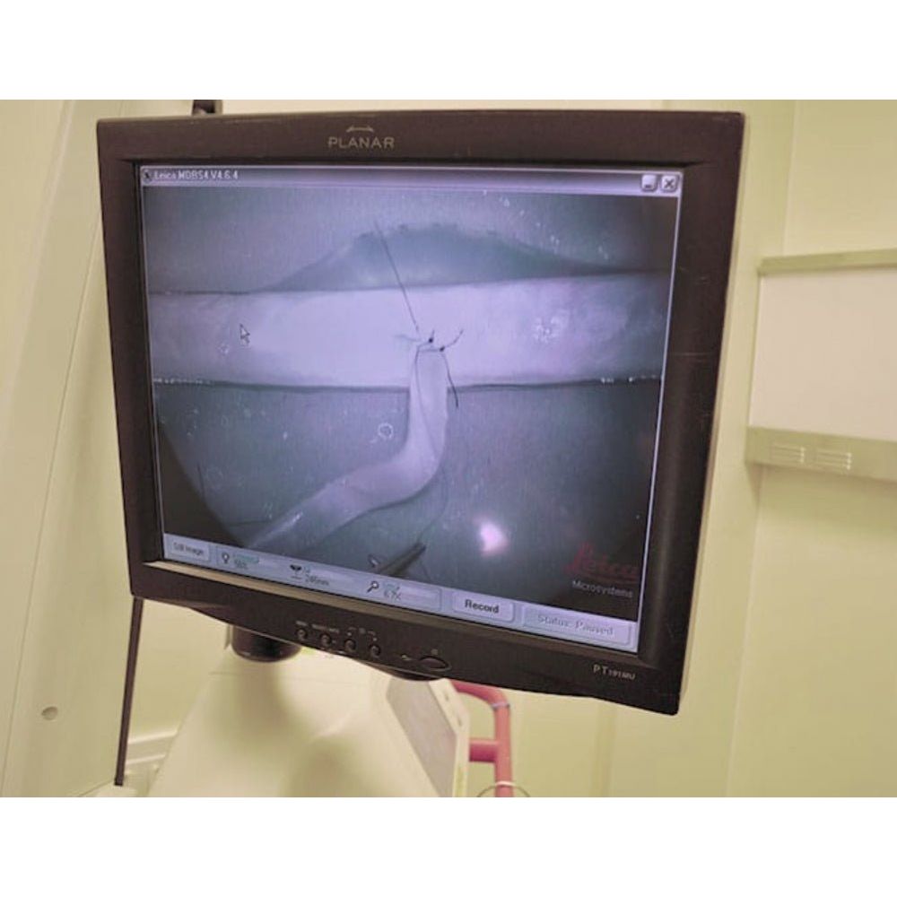 Precision Dermal Microvessels Training Models | Microvascular Anastomosis Surgical Simulator UK 