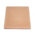 Precision Dermal Abdominal Multilayer Skin Model | Surgical Suturing & Tissue Dissection Trainer UK LL-TRN-0431