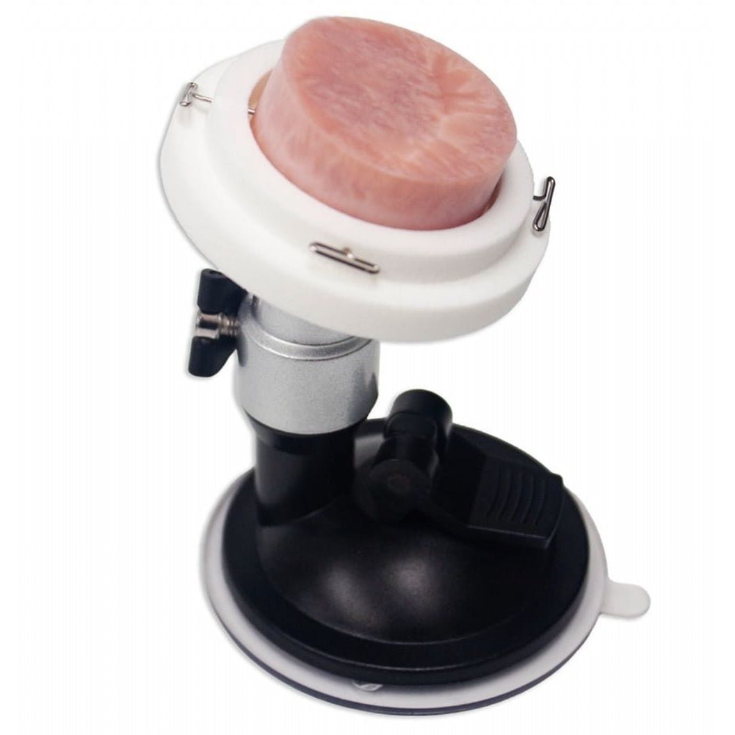 Precision Dermal Cervix Disc Biopsy Model | Cervical Biopsy & OB - GYN Surgical Training Simulator UK LL-TRN-0510