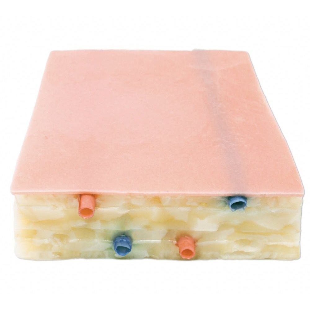 Precision Dermal Embedded Biopsy Pad Model | Ultrasound & Surgical Biopsy Training Simulator UK LL-TRN-0703