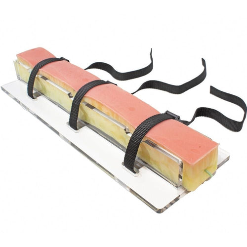 Precision Dermal Embedded Great Saphenous Vein Base | Vein Harvesting Training Platform UK LL-TRN-1100