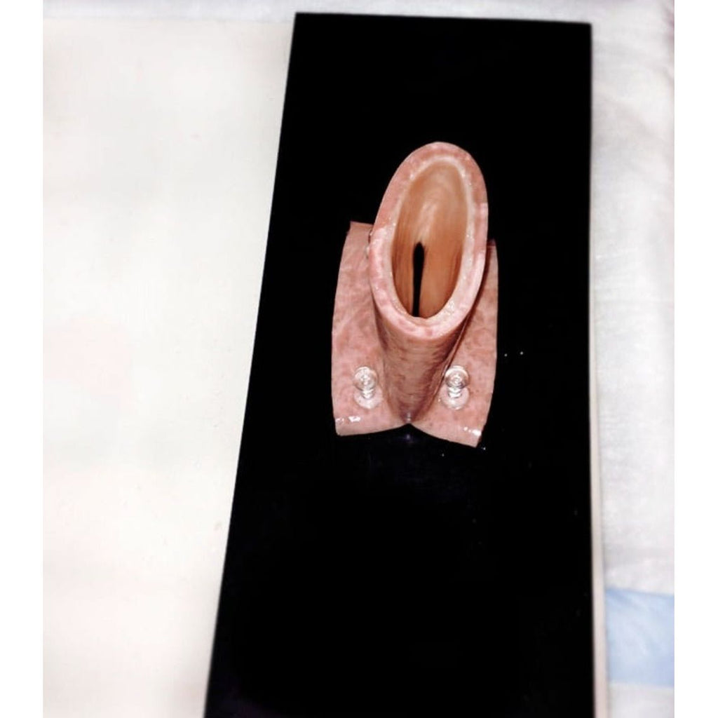 Precision Dermal Tissue Mounting Pad | Surgical Training Base for Anastomosis Practice UK LL-TRN-1102