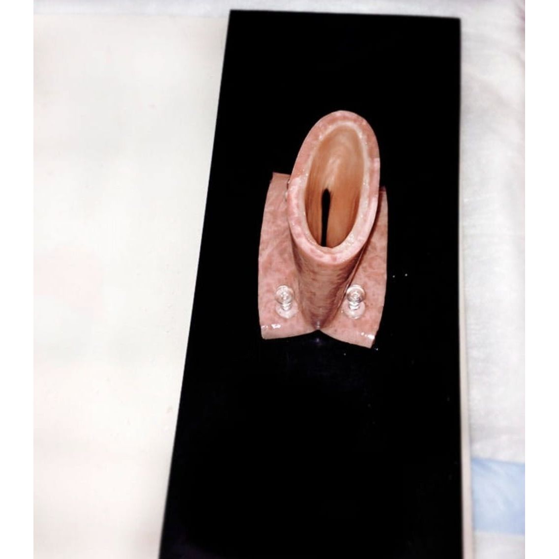 Precision Dermal Tissue Mounting Pad | Surgical Training Base for Anastomosis Practice UK LL-TRN-1102
