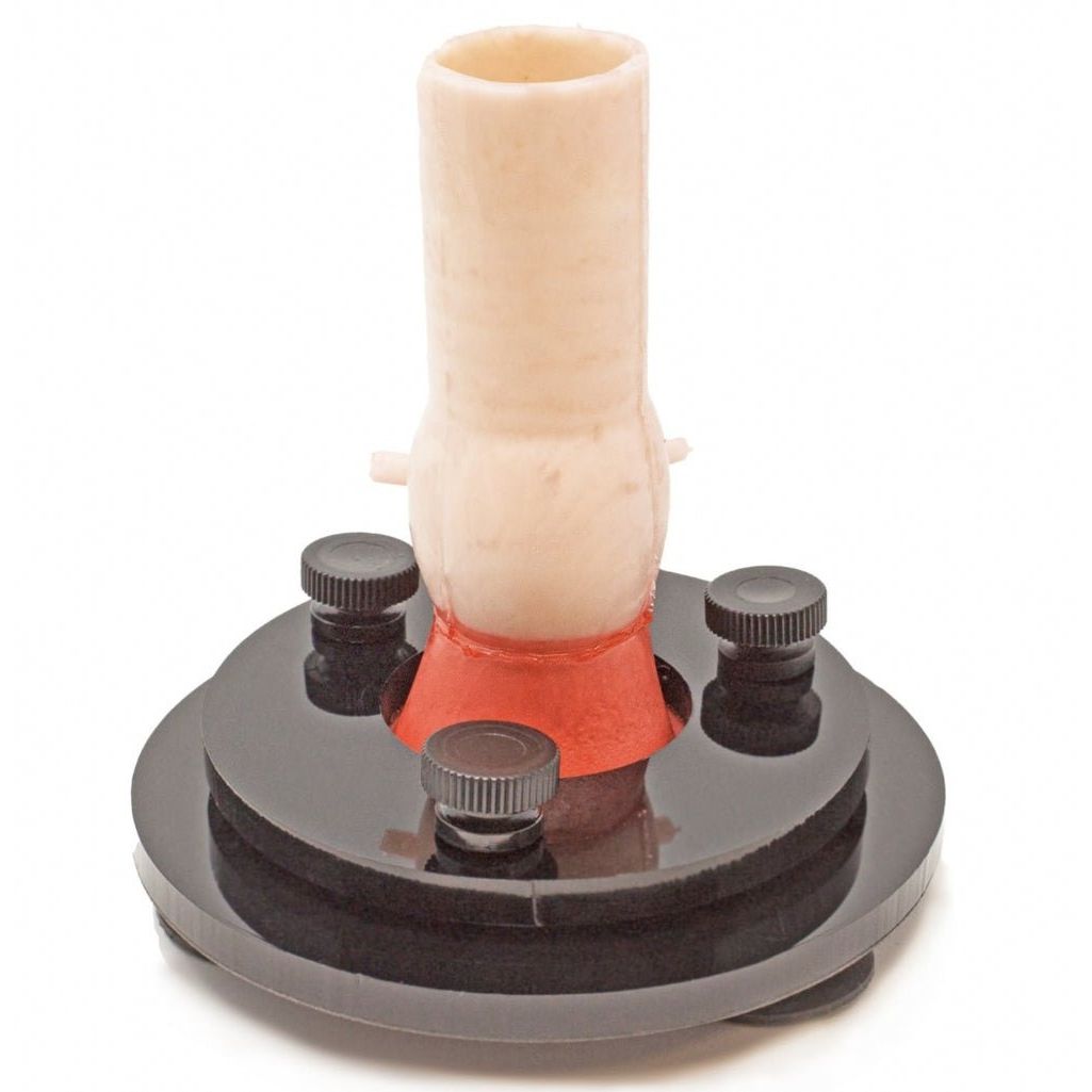 Precision Dermal Aortic Valve Base | Cardiac Surgery Training Valve Holder UK LL-TRN-1104