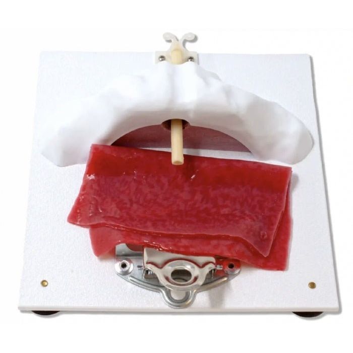Precision Dermal Vesico - Urethral Holder | Urology Surgical Training Base UK LL-TRN-1211
