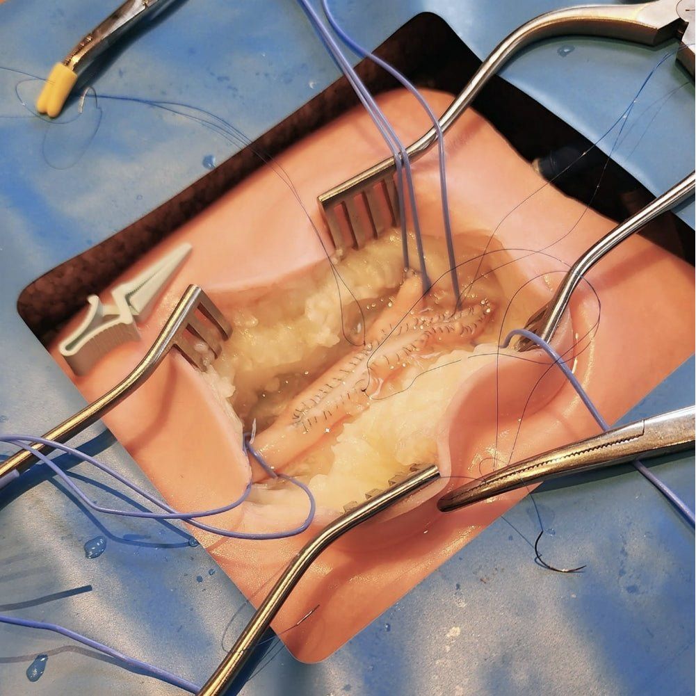 Precision Dermal VI Box Surgical Simulator | Vascular & Surgical Skills Training System UK LL-TRN-1270