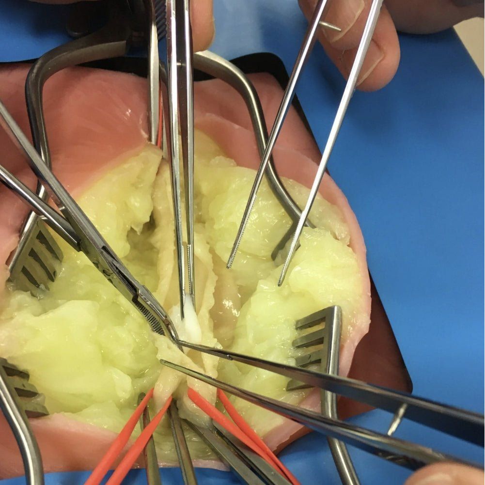 Precision Dermal VI Box Surgical Simulator | Vascular & Surgical Skills Training System UK LL-TRN-1270