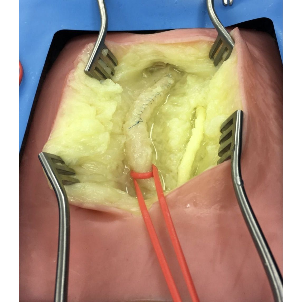 Precision Dermal VI Box Surgical Simulator | Vascular & Surgical Skills Training System UK LL-TRN-1270