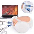 Precision Dermal Abdominal Laparoscopic Surgery Simulator – Advanced Minimally Invasive Surgical Training System UK MS-LAP-SIM02