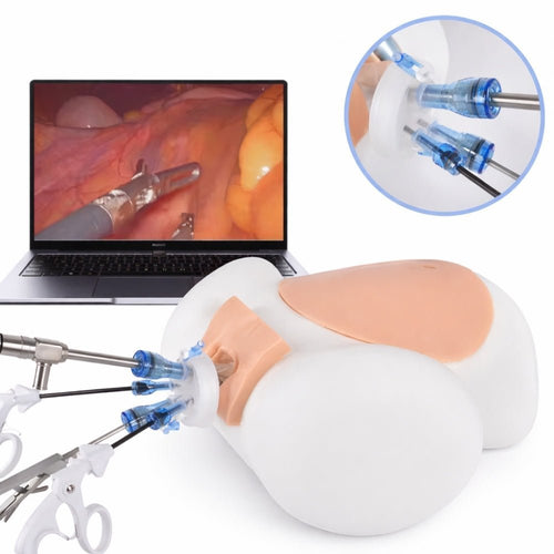 Precision Dermal Abdominal Laparoscopic Surgery Simulator – Advanced Minimally Invasive Surgical Training System UK MS-LAP-SIM02