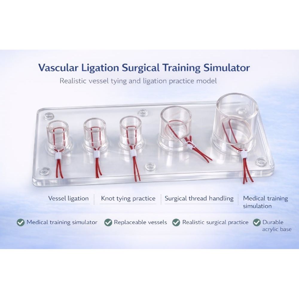 Precision Dermal Vascular Ligation Training Simulator – Surgical Vessel Ligation Practice Model UK MS-VAS-LIG01