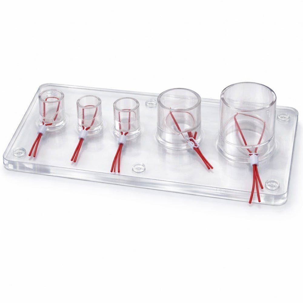 Precision Dermal Vascular Ligation Training Simulator – Surgical Vessel Ligation Practice Model UK MS-VAS-LIG01