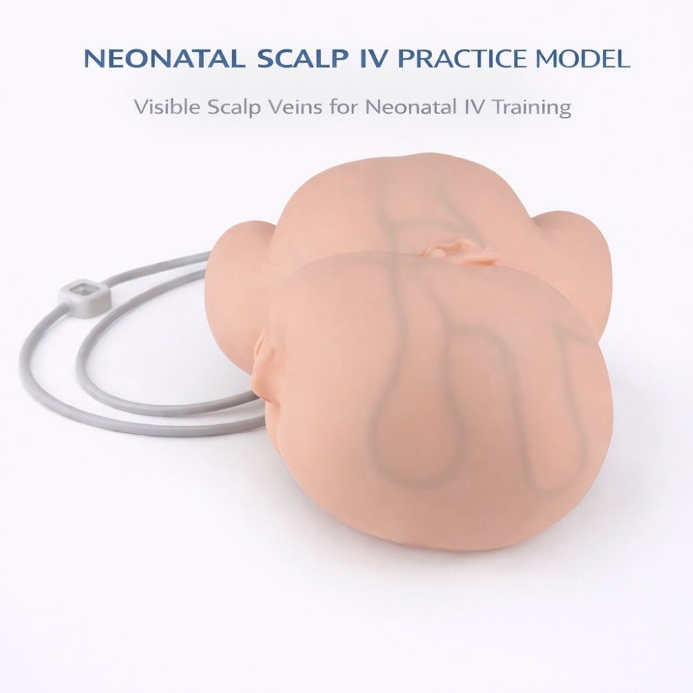 Precision Dermal Infant Head IV Injection & Scalp Venipuncture Training Model Neonatal Clinical Skills Simulator UK NIC-001