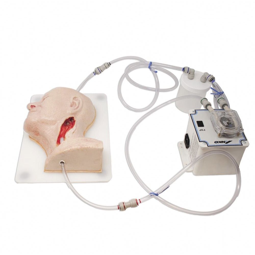 Precision Dermal Carotid Head Simulator – Vascular Surgery Training Model – Carotid Endarterectomy Practice – Realistic Surgical Simulation Head – (Professional Training Use) UK SIM-CAROTID-HEAD-VASC-01