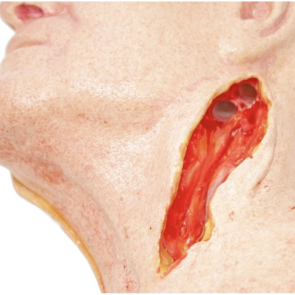 Precision Dermal Carotid Head Simulator – Vascular Surgery Training Model – Carotid Endarterectomy Practice – Realistic Surgical Simulation Head – (Professional Training Use) UK SIM-CAROTID-HEAD-VASC-01