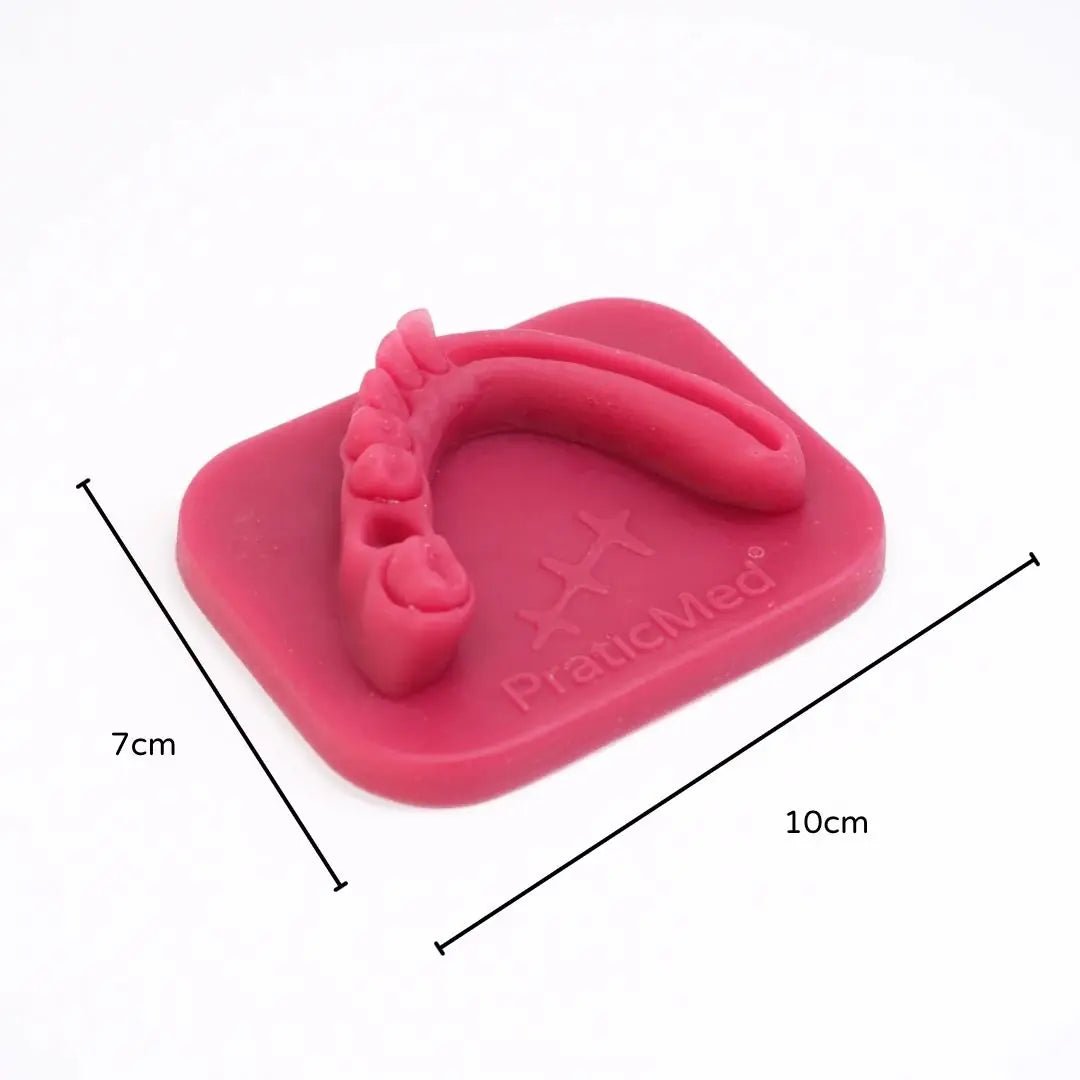 PraticMed Dental Suture and Flap Closure Eco Training Pad – PraticMed UK 1004Kırmızı