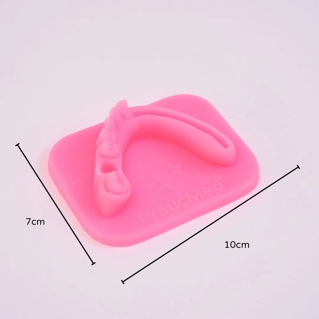 PraticMed Dental Suture and Flap Closure Eco Training Pad – PraticMed UK 1004Pembe