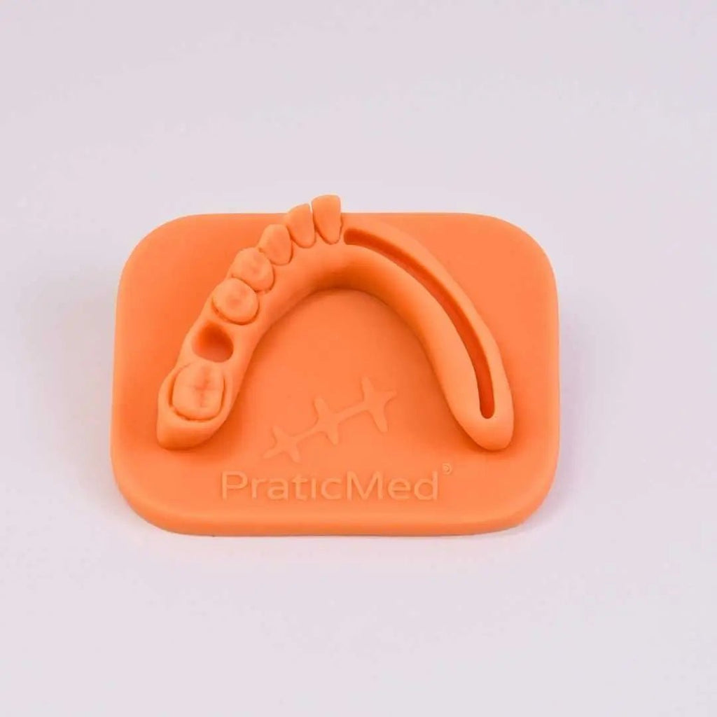 PraticMed Dental Suture and Flap Closure Eco Training Pad – PraticMed UK 1004Ten